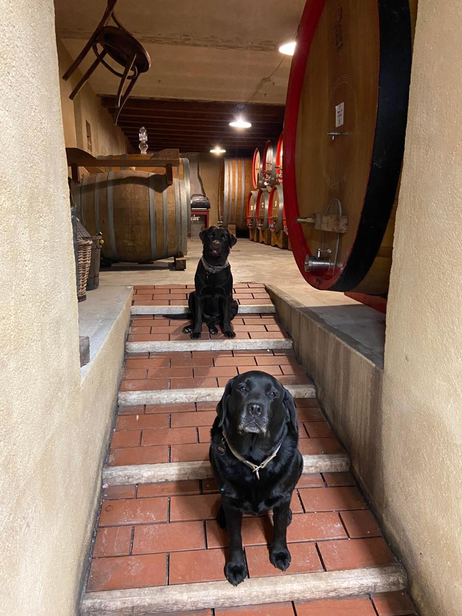 La Vineria Di San Mattia Villa Верона Екстериор снимка