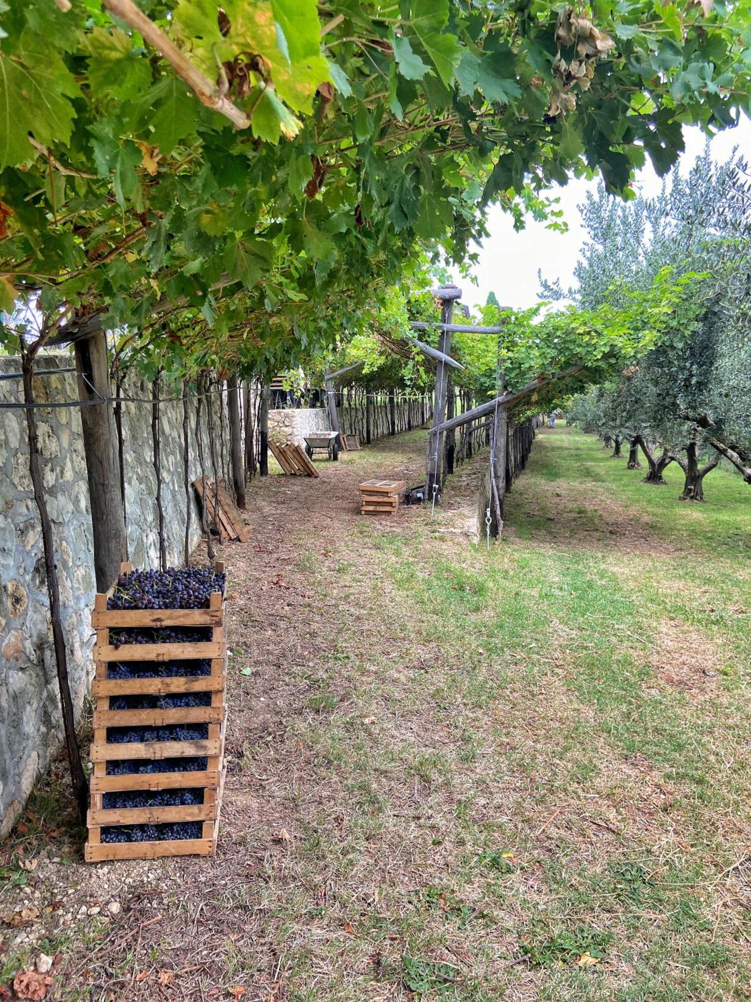La Vineria Di San Mattia Villa Верона Екстериор снимка